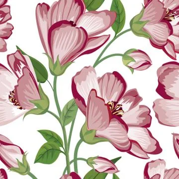 Floral seamless pattern. Flower background. Flourish spring garden Stock Illustration