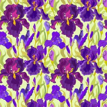 Floral seamless pattern. Flower iris background. Stock Illustration