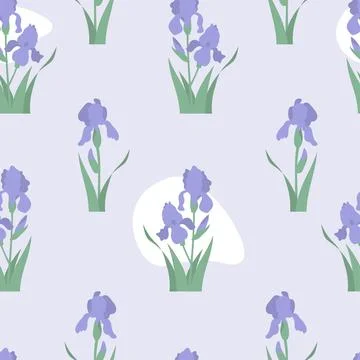 Floral seamless pattern. Flower iris with buds and leaves on light purple b.. イラスト素材