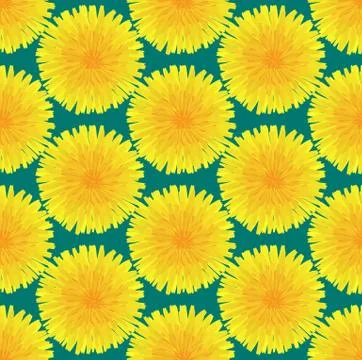 Floral seamless pattern. Hand drawn yellow head of dandelion officinale. Wild Stock Illustration