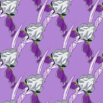 Floral seamless pattern with hand drawn creative iris flowers ornament. Purpl Stock Illustration