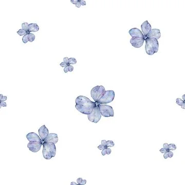 Floral seamless pattern. Hand drawn elegant blue flowers on white background Stock Illustration