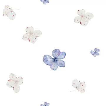 Floral seamless pattern. Hand drawn elegant blue flowers on white background Stock Illustration