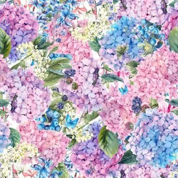 Floral seamless pattern with Hydrangea Stock Illustration