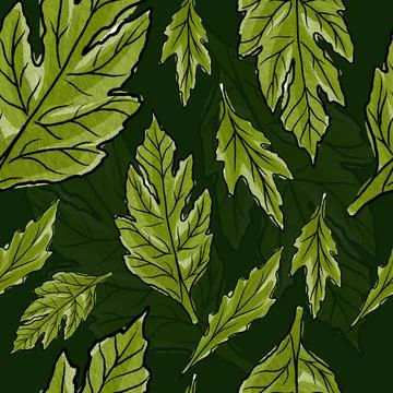 Floral Seamless Pattern Stock Illustration