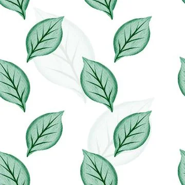 Floral Seamless Pattern Stock Illustration