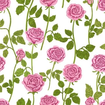 Floral Seamless Pattern with Illustrations of Pink Roses Stock Illustration