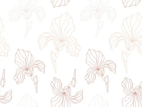 Floral seamless pattern with iris flowers Stock Illustration