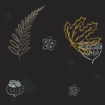 Floral seamless pattern made of blossom meadow plants and field flowers. Stock Illustration