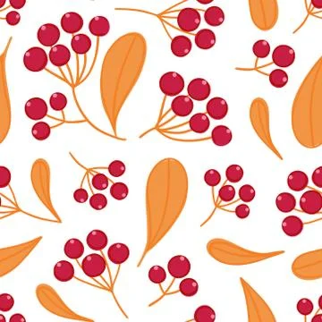Floral seamless pattern with panicles of berries. Colorful repeating backgrou Stock Illustration