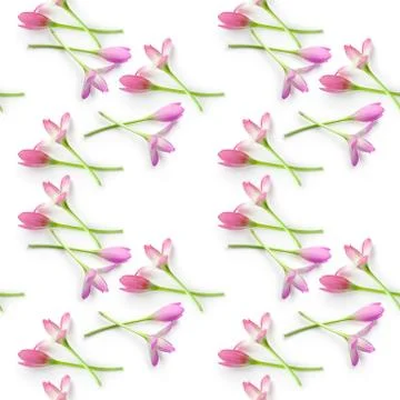 Floral seamless pattern Stock Photos