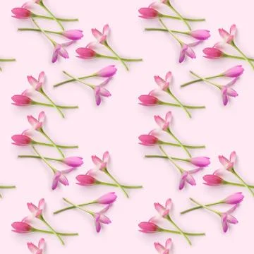 Floral seamless pattern Stock Photos