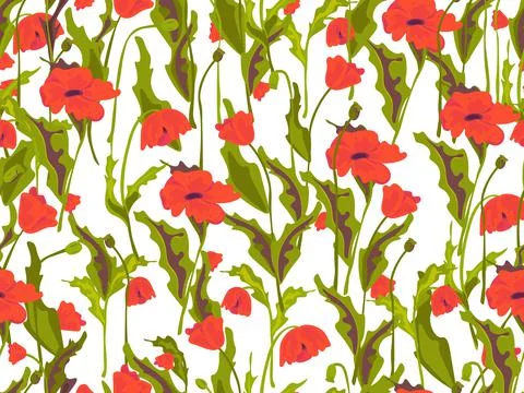 Floral seamless pattern, poppies. Vector illustration Stock Illustration