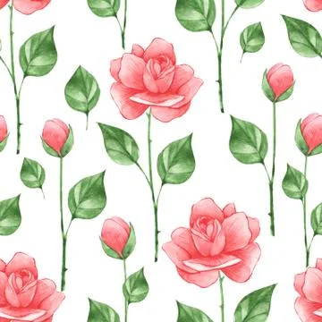 Floral seamless pattern with roses Stock Illustration