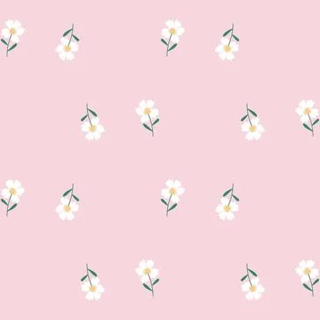 Floral Seamless Pattern of Sparse White Flowers on Pink Background Stock Illustration