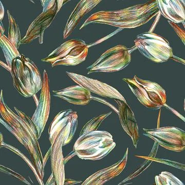 Floral seamless pattern with tulips drawn by colored pencil on khaki background. Stock Illustration