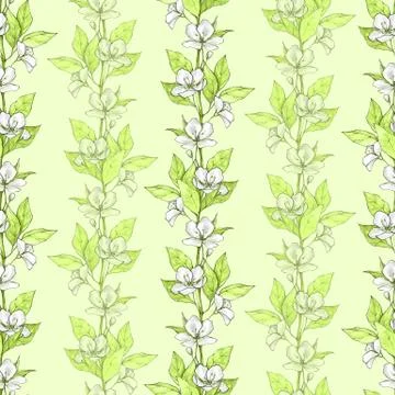 Floral seamless pattern with white flowers and green leaves Stock-Illustration