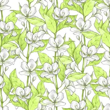 Floral seamless pattern with white flowers and green leaves Stock Illustration