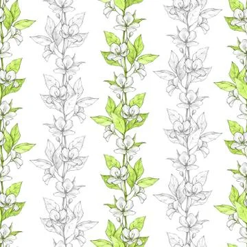 Floral seamless pattern with white flowers and green leaves Stockillustratie