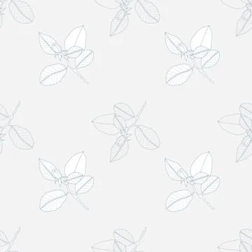 Floral seamless pattern with white rose branches. Stock Illustration
