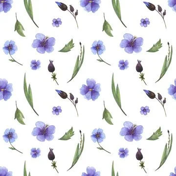 Floral seamless pattern of wild blue violet flowers and herbs illustrations hand Stock Illustration