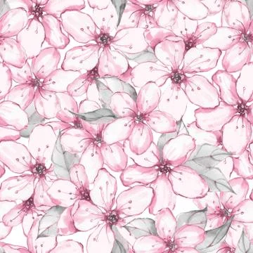 Floral seamless patternn with sakura Stock Illustration