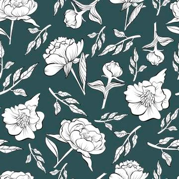 Floral seamless peony pattern drawn in sketch Stock Illustration