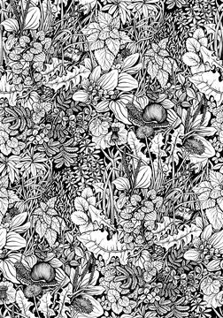 Floral seamless summer pattern with a variety of plants like dandelions, nettle Stock Illustration