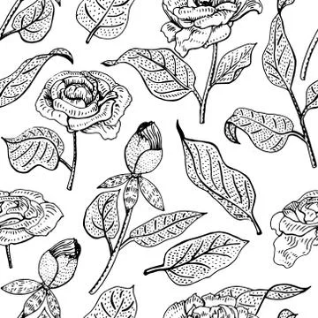 Floral seamless vector pattern with peony flower Stock Illustration