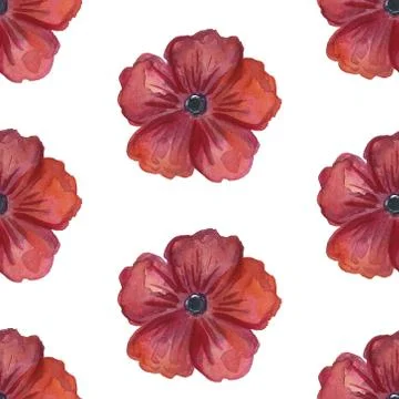 Floral set pattern. Flower seamless background. Flourish ornamental spring ga Stock Illustration