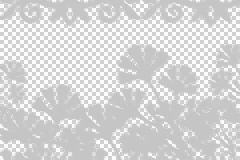 Floral Shadow Overlay with Decorative Border Ilustração Stock