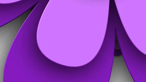 Floral Shape Transition Transparent Animation Background Stock Footage 217964359