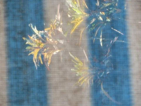Floral shapes and structures, pattern and texture on a surface floral shap... Stock Photos