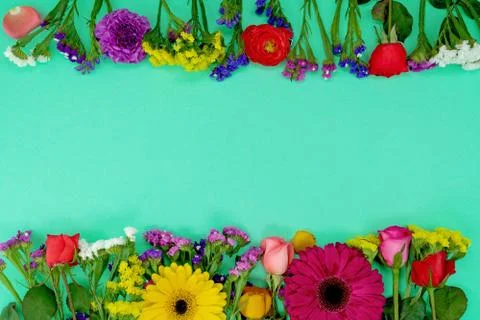 Floral spring background. Stock Photos