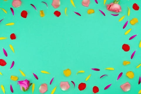 Floral spring background. Stock Photos