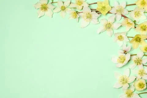 Floral spring background Stock Photos