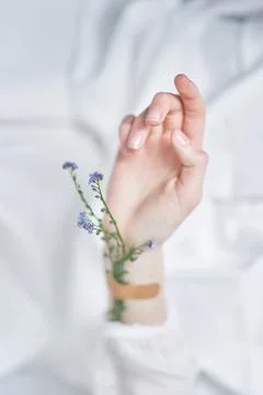Floral spring concept: hands, patch and forget me not flower Stock-Fotos