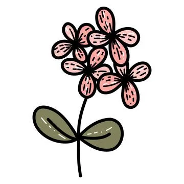 Floral spring wildflower isolated flat vector illustration. Stock Illustration