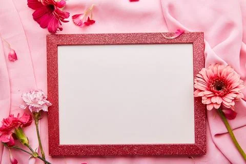 Floral springtime delicate pink empty interior pink wall layout among flowers Stock Photos