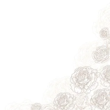 Floral square corner background. Elegant flowers, roses, peonies vector. Decor Stock Illustration