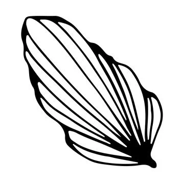 Floral stylized leaf. Vector linear illustration. Black and white graphics. I Stockillustratie