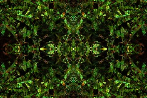 Floral symmetrical patterns Foto stock