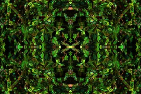 Floral symmetrical patterns Foto stock