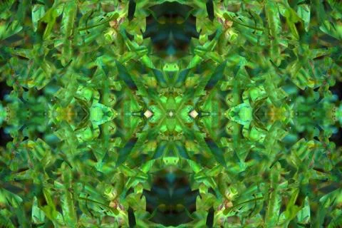Floral symmetrical patterns Foto stock