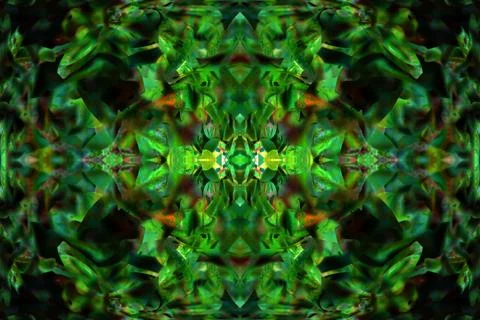 Floral symmetrical patterns Foto stock