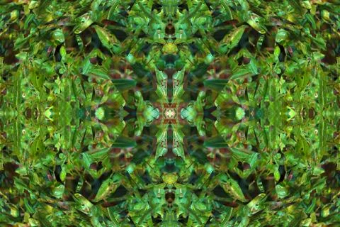 Floral symmetrical patterns Foto stock