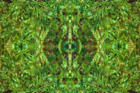 Floral symmetrical patterns Foto stock