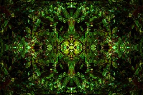 Floral symmetrical patterns Foto stock