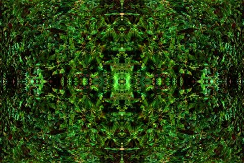 Floral symmetrical patterns Stock Photos