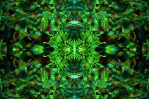 Floral symmetrical patterns Foto stock